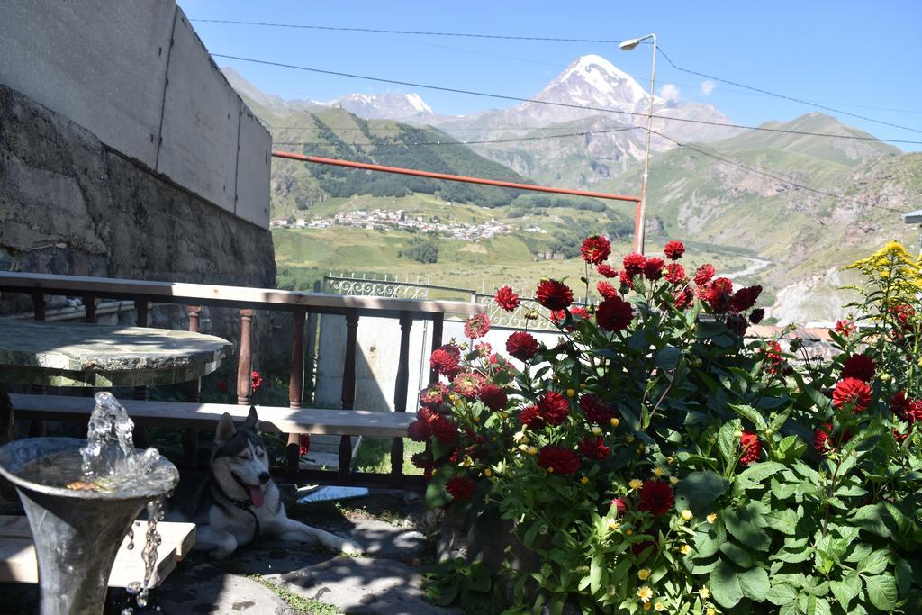 Qusha Guesthouse Meeting In The Mountains And Views Kazbegi Eksteriør bilde